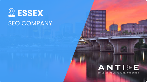 Essex SEO company