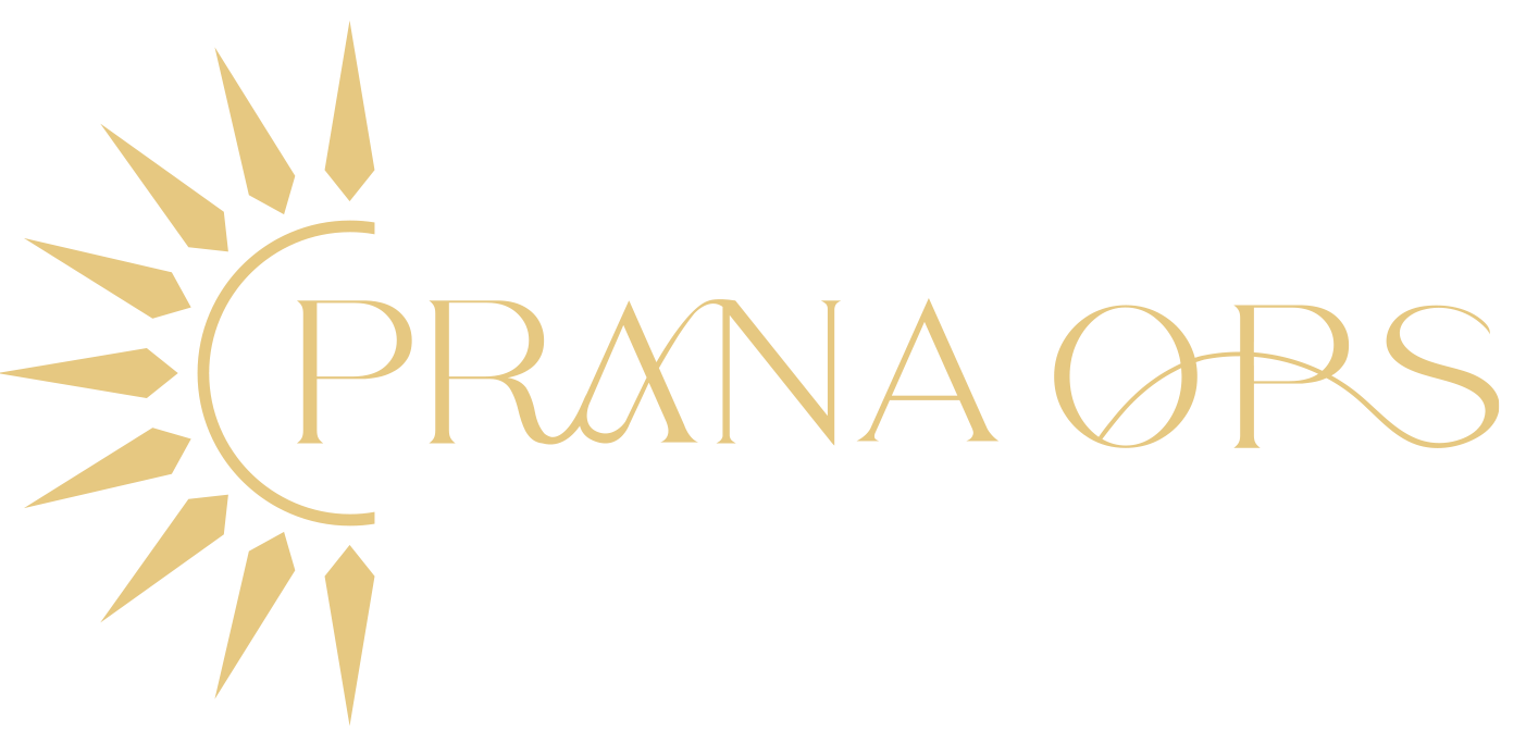 Copy-of-logo-no-background-e1713205865763.png